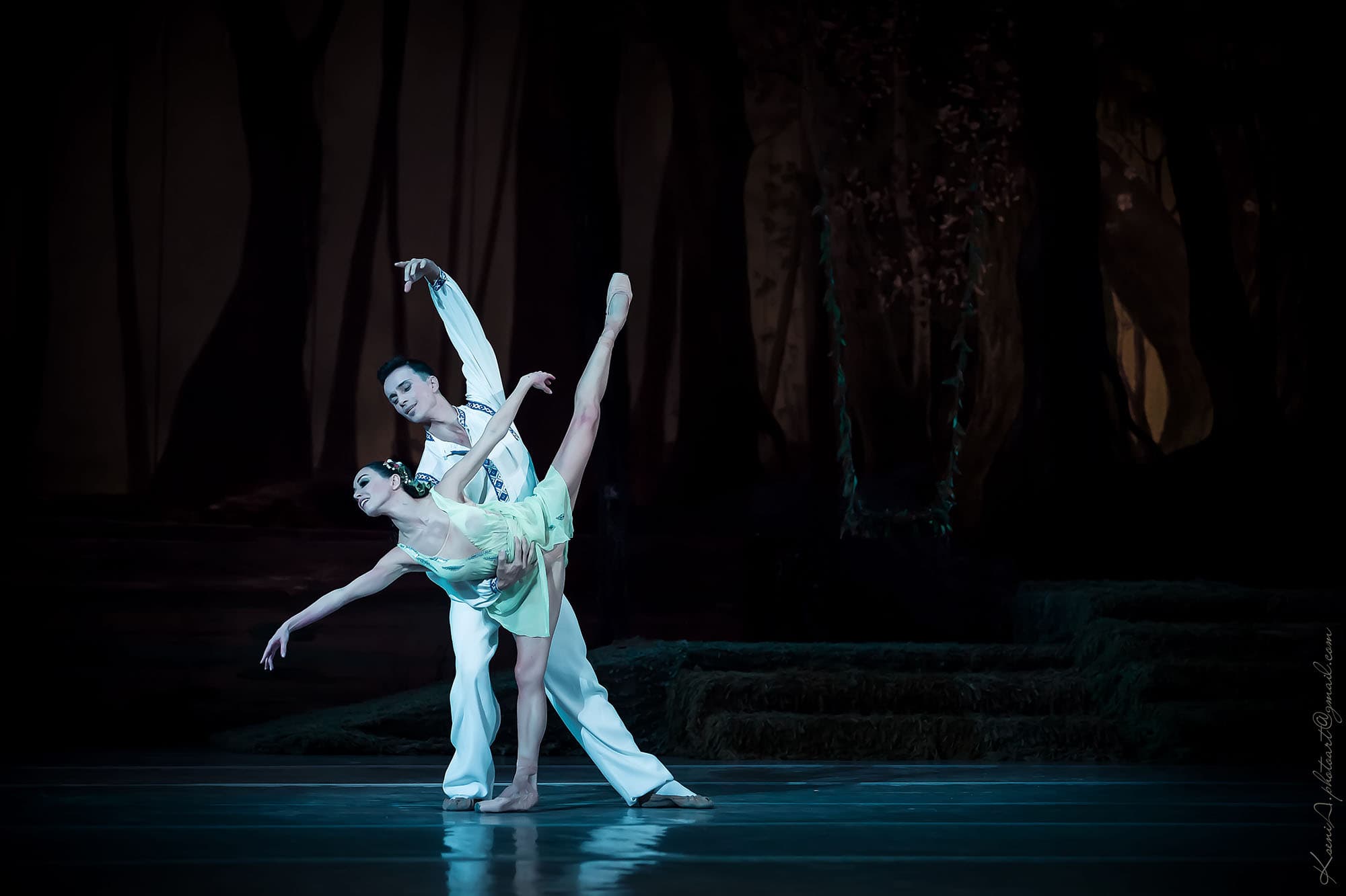 The Forest Song  Grand Kyiv Ballet