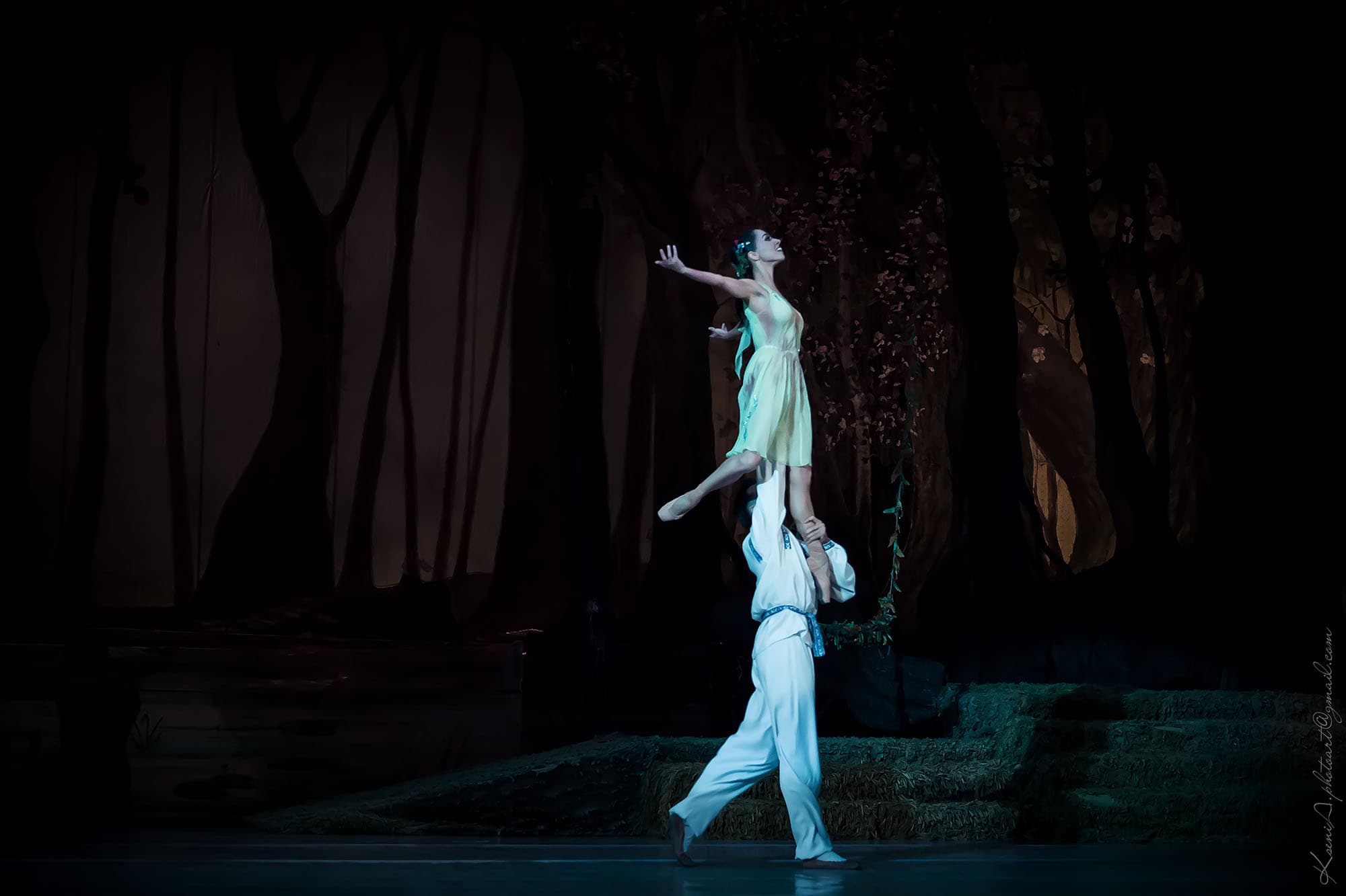 Forest Song - Ballet - visitBergen.com