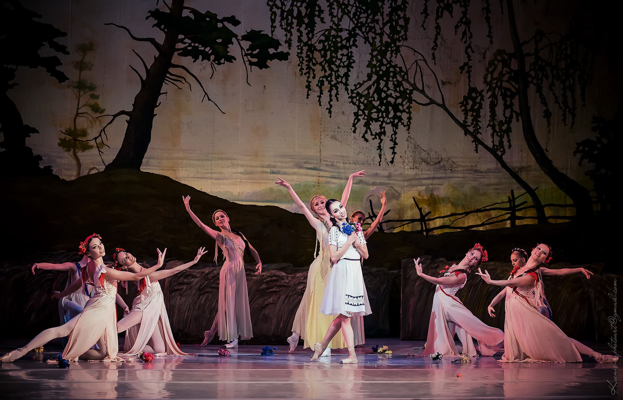 The Forest Song  Grand Kyiv Ballet