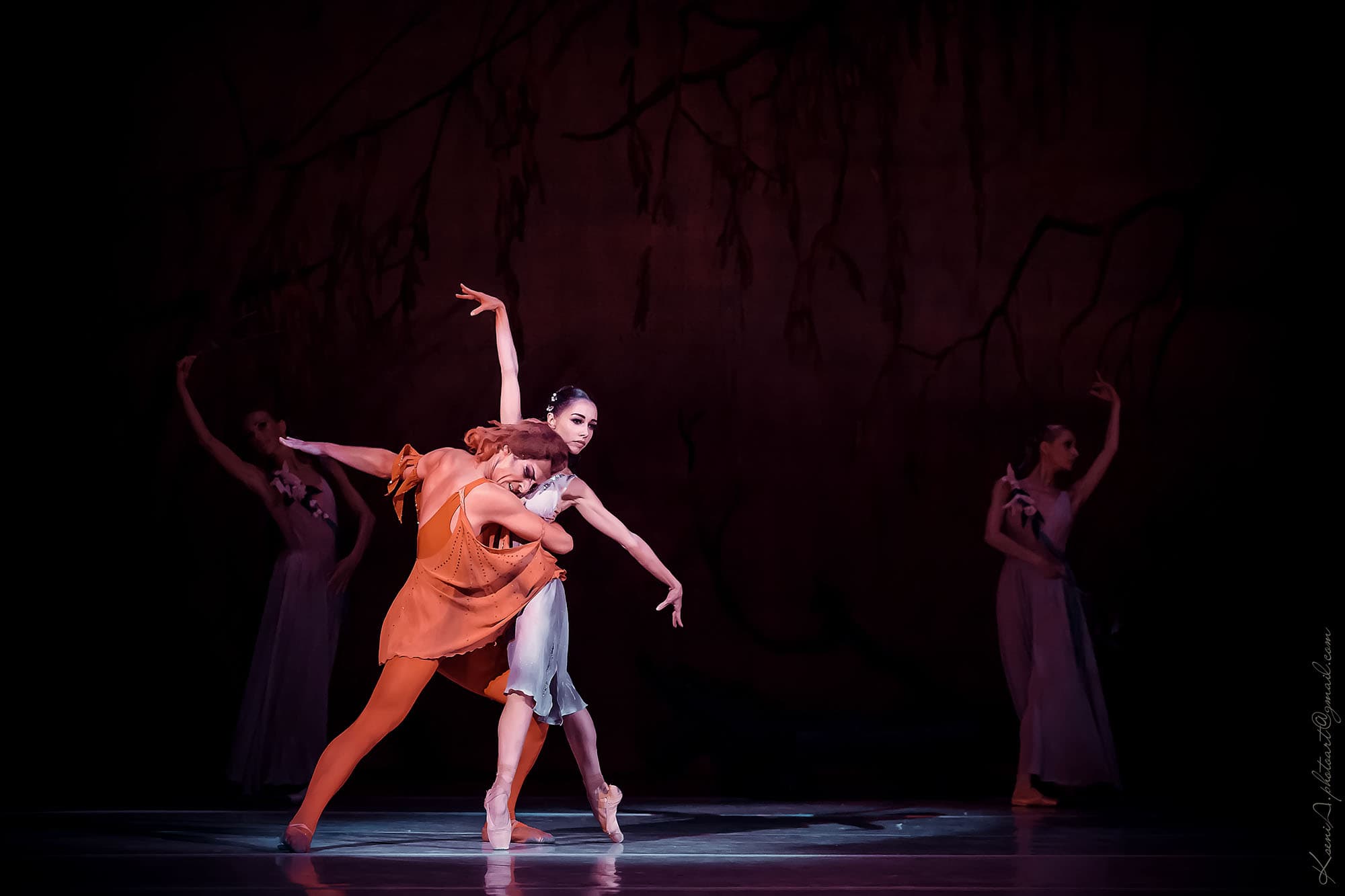 The Forest Song  Grand Kyiv Ballet