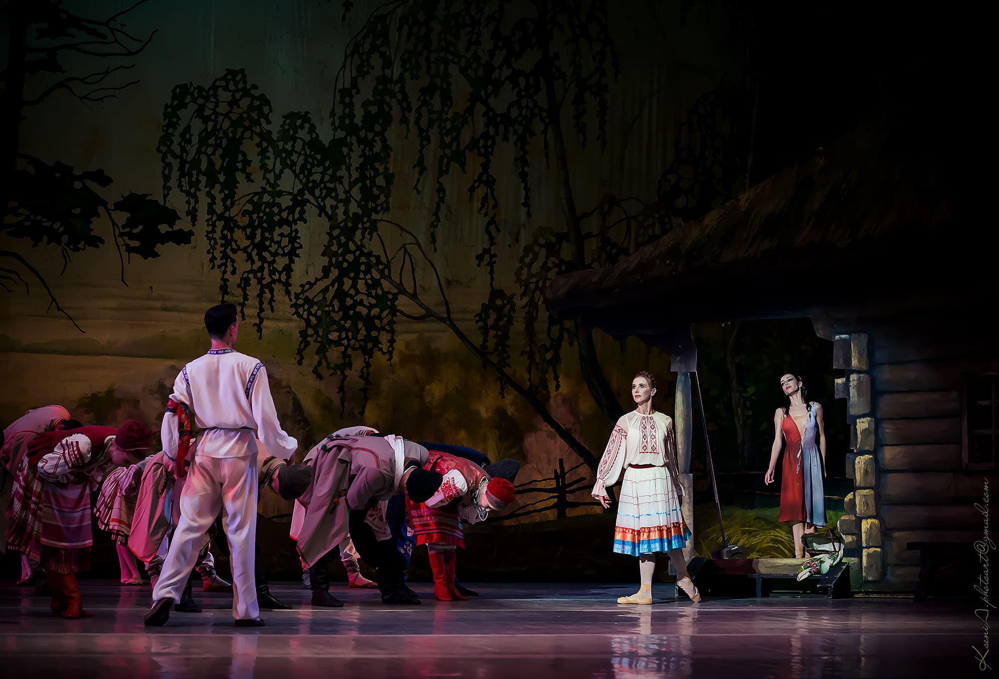 The Forest Song  Grand Kyiv Ballet